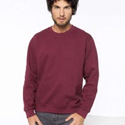 Crew Neck Sweatshirt Crew Neck Sweatshirt