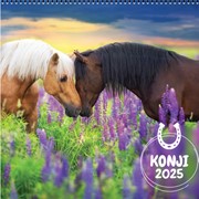 Koledar Konji 2017 Koledar Konji 2017