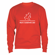 Sweatshirt Beautiful Day Sweatshirt Beautiful Day