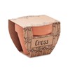 CRESS POT-Terrakotta cserepes zsázsa mag