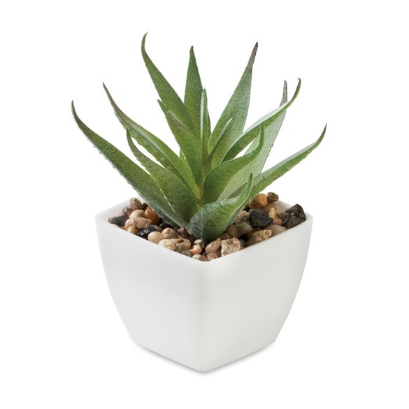 ARTILOE - Mini műnövény, aloe ferox mill