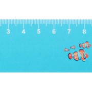 Couler 15 cm-es vonalzó, kör