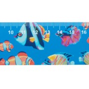 Couler 30 cm vonalzó, ház