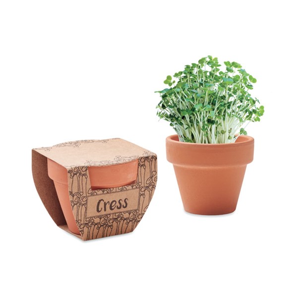 CRESS POT-Terrakotta cserepes zsázsa mag