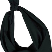 FIESTA - BANDANA