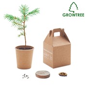 GROWTREE™ - Fenyő szett