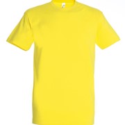 IMPERIAL MEN ROUND COLLAR T-SHIRT