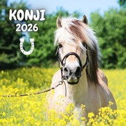 Kalendar Konji 2025
