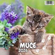 Kalendar Muce 2025