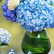 Kalendar Šopki 2025