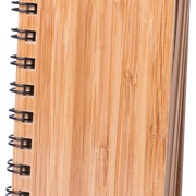 Lemtunska bilježnica A7