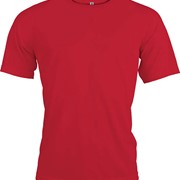 MEN'S SHORT SLEEVE SPORTS T-SHIRT