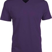 MEN'S SHORT SLEEVE V-NECK T-SHIRT