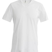 MEN'S SHORT SLEEVE V-NECK T-SHIRT