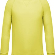 MUŠKI DUKSER S RAGLAN RUKAVIMA OD ORGANSKOG PAMUKA