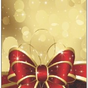 Novogodišnja čestitka 2-6