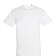 REGENT UNISEX ROUND COLLAR T-SHIRT