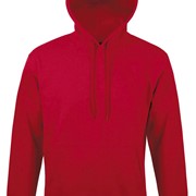 SNAKE UNISEX HOODED SWEATSHIRT