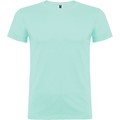 VERDE MENTA
