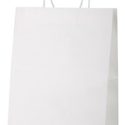 Store papirnata vrećica