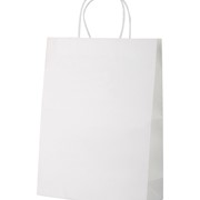 Store papirnata vrećica