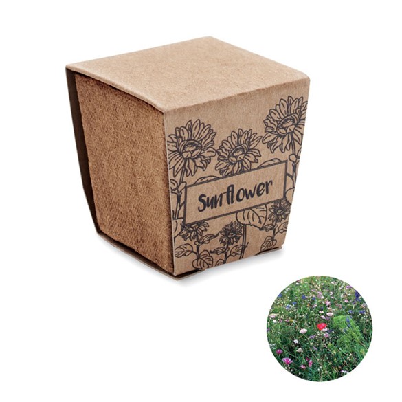 SUNCOKRET KIT - Set za uzgoj suncokreta