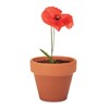 RED POPPY - Terracotta cvjetni lonac sa sjemeni