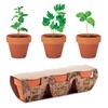 FLOWERPOT - Set 3 lonaca s biljkom od terakote