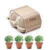 CRESS - Tojásos doboz ültető készlet
