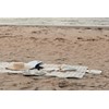VINGA Alba GRS újrahasznosított PET piknik takaró