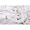 ASIDO-A6 list papira sa sjemenkama divljeg cvijeća