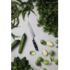 VINGA Kaiser Santoku nož