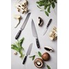 VINGA Kaiser Santoku nož