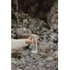 VINGA Balti RCS reciklirana pet boca 600 ML