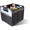 TRUNK ORGANIZER WITH FLAP