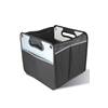 TRUNK ORGANIZER WITH FLAP