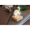 LED staklena kugla GLOBE LIGHT