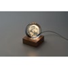 LED staklena kugla GLOBE LIGHT