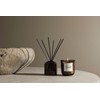 Ambijentalni set Essence VINGA Nordic