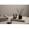 Ambijentalni set Essence VINGA Nordic
